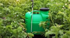 roundup dosage pour 1 litre