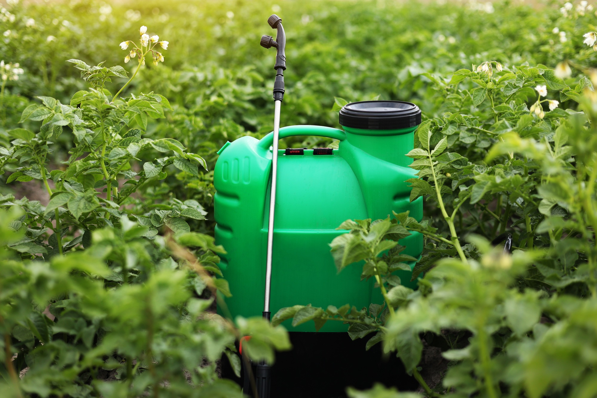 roundup dosage pour 1 litre