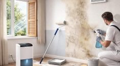 découvrez 5 conseils pratiques pour réguler efficacement le taux d'humidité sur vos murs en plâtre lors de vos projets de rénovation, afin d'assurer un intérieur sain et durable.